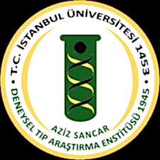 
					İSTANBUL ÜNİVERİSTESİ				